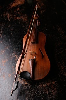 Logo Violine